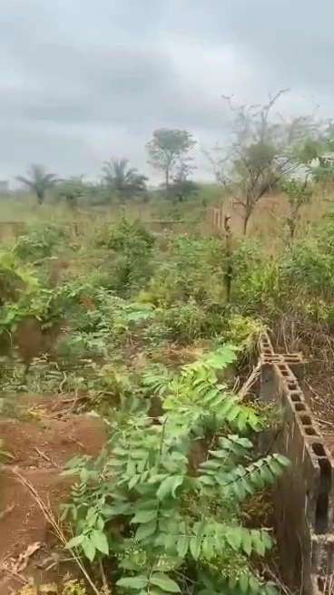 Land for Sale in Uwani, Enugu