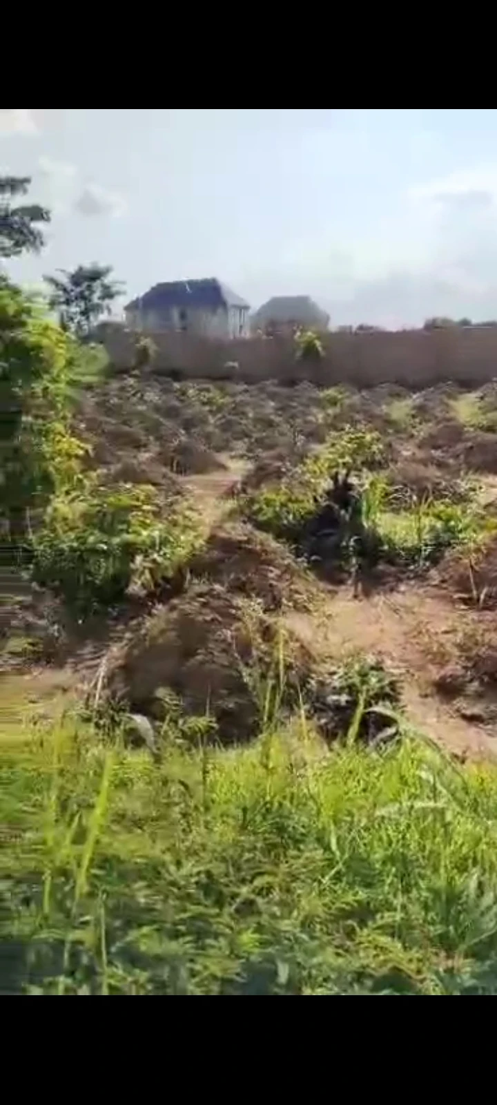 Land for Sale in RC Ani Opposite Carnitas University Emene, Enugu cover picture