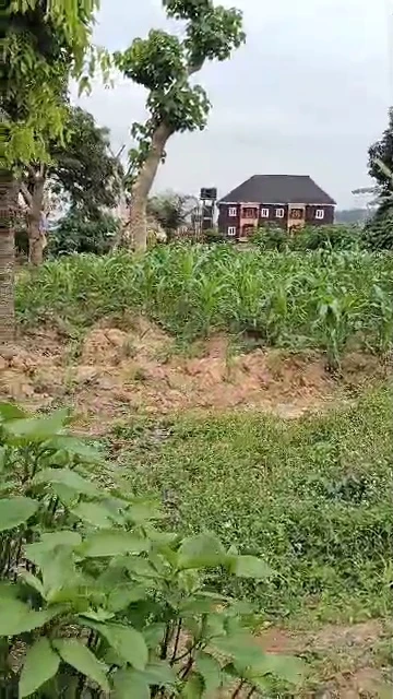 Land for Sale in Golf annex, Enugu cover picture