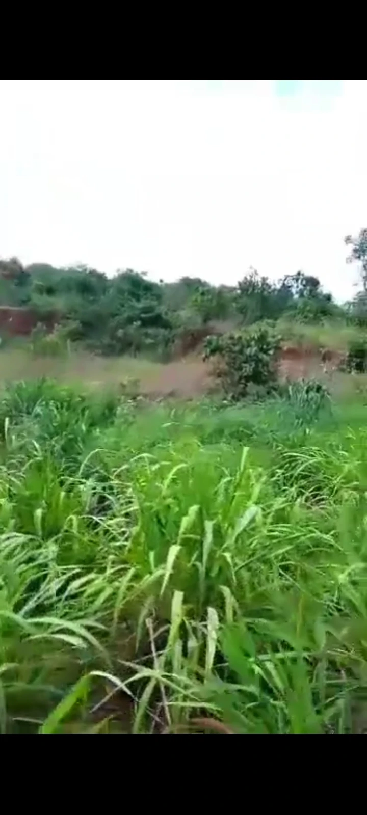 Land for Sale in Okigwe, Enugu cover picture