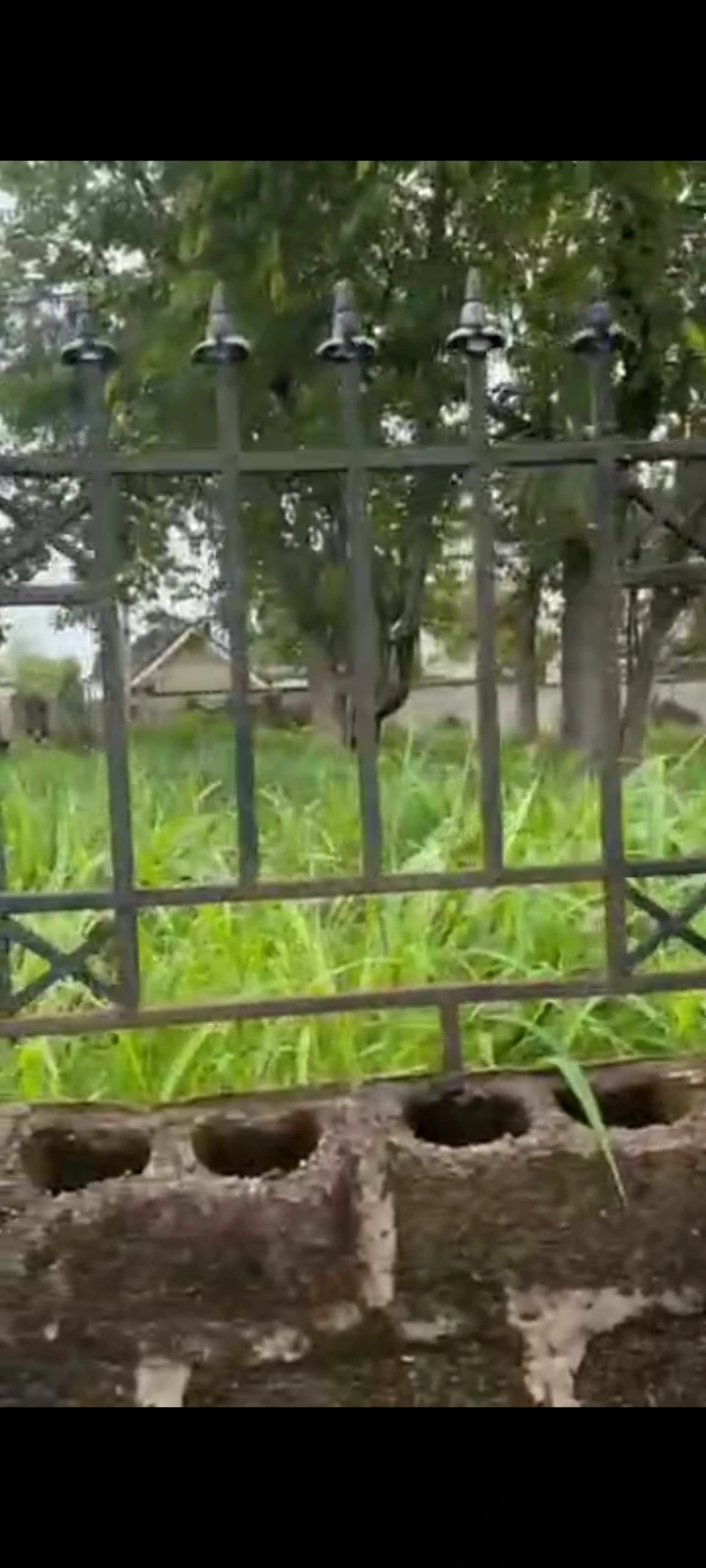 Land for Sale in Zoo Estate, Enugu cover picture