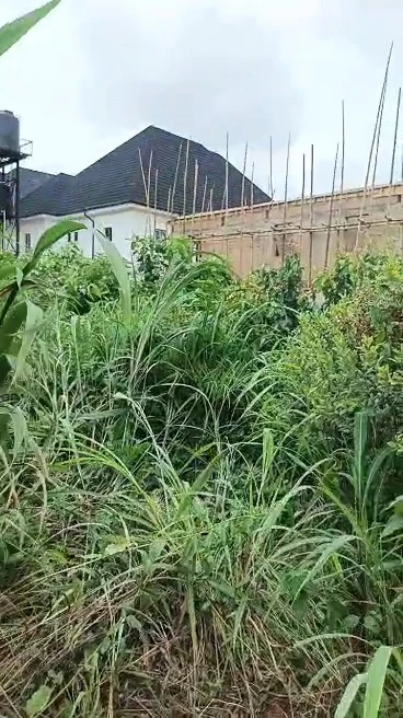 Land for Sale in Centenary, Enugu cover picture