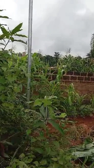 Land for Sale in Nsukka, Enugu cover picture