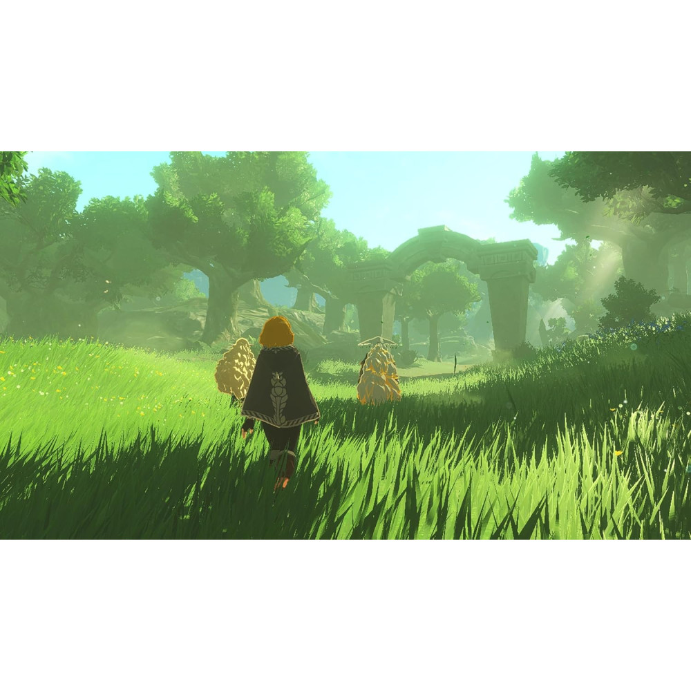 Nintendo switch 2 Hyrule Warriors Age of Imprisonment