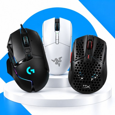 Mouse