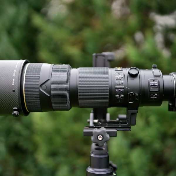 NIKKOR 200-400mm AF-S F4G ED VR II: zdjęcia przykładowe z aparatów Nikon D850 i Nikon Z6 oraz krótka recenzja po latach