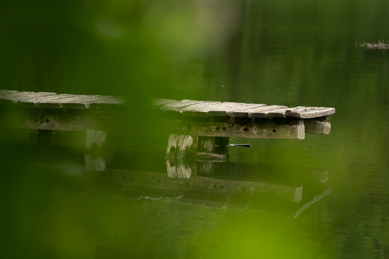 Zdjęcia przykładowe z EXIF - Tamron 150-500mm F5-6.7 Di III VC VXD