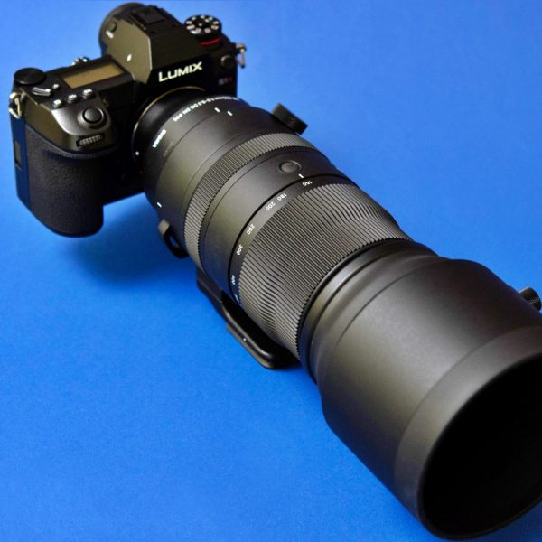 Sigma S 150-600mm F5-6.3 DG DN OS w sojuszu z Panasonic S1R: druga partia zdjęć przykładowych