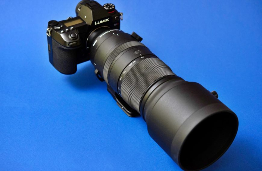 Sigma S 150-600mm F5-6.3 DG DN OS w sojuszu z Panasonic S1R: druga partia zdjęć przykładowych