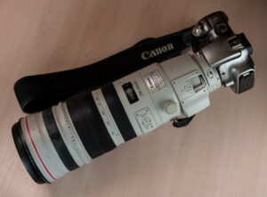 Canon 200-400mm F4 L IS USM Extender 1.4x oraz Canon EOS 300D - zdjęcia przykładowe 1:1