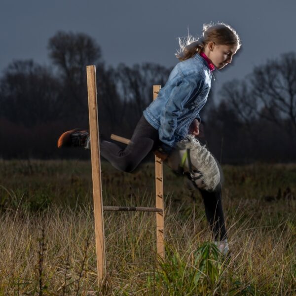 Lampy Godox AD200 TTL oświetlają plan sesji polnej Oliwki i Skipera: Nikon Z6 i AF-S Nikkor 105mm F1.4E ED w akcji i czym jest Hobby Horse