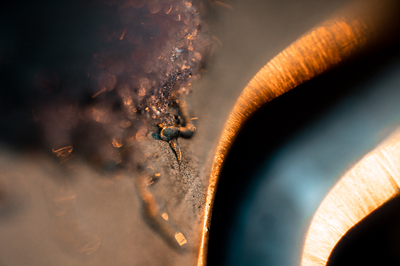 Laowa 65mm F2.8 CF CA-Dreamer Macro 2X