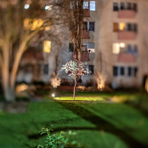TTArtisan Tilt 50mm F1.4 Nikon Z Main