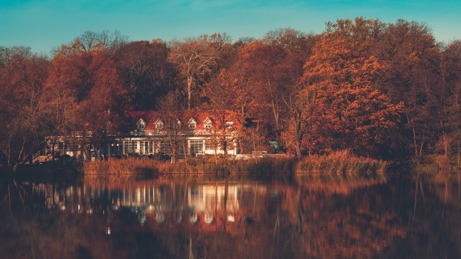 Konkodcjes Interfoto079