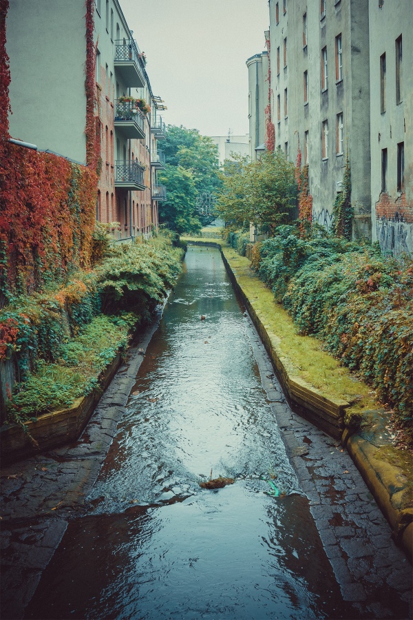 Konkodcjes Interfoto086