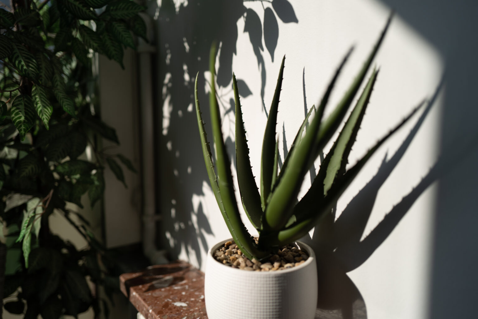 Leica Q2