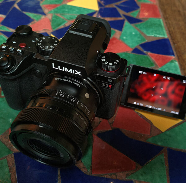 Sigma 50mm F2 DG DN Contemporary + Panasonic Lumix S1R