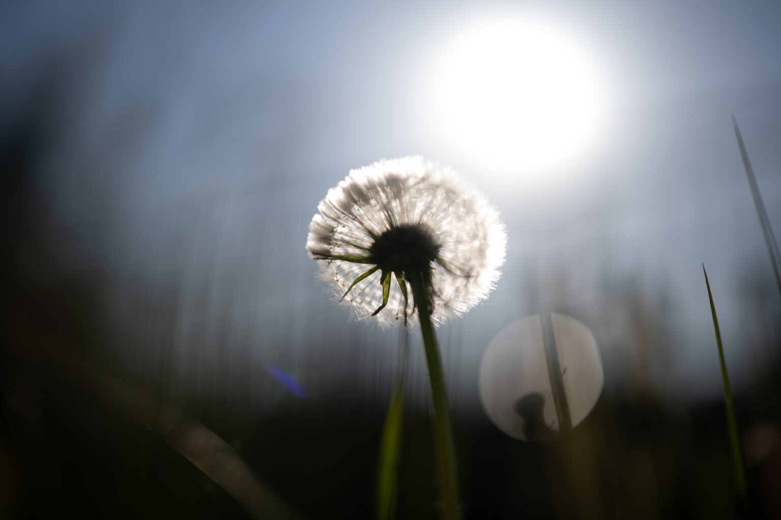 Tak radzi sobie Nikkor Z 50mm F1.2 S w duecie z bezlusterkowcem Nikon Z9 podczas sesji portretowej, a także powolnych spacerów.