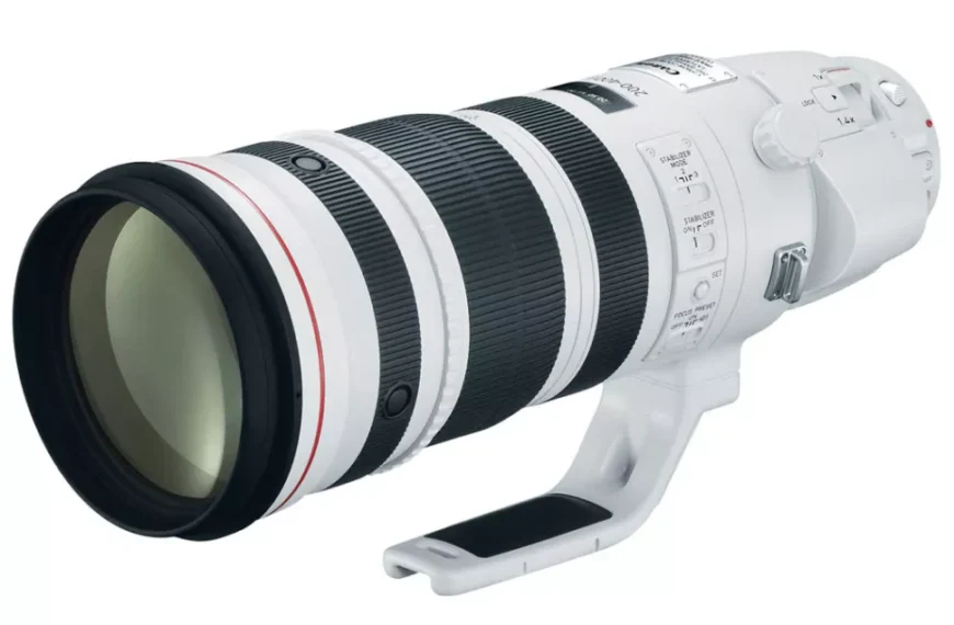 Canon EF 200-400mm F4L IS USM 1.4x Extender