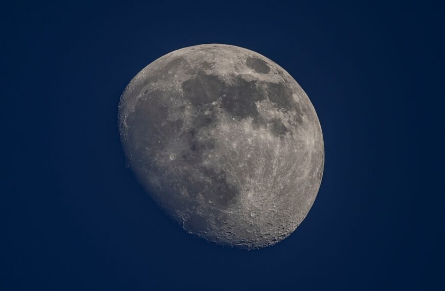 Canon RF 800mm F11 IS STM Main