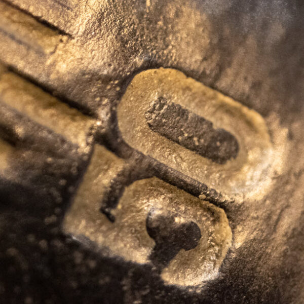 TTArtisan 100mm F2.8 Macro 2X Tilt-Shift - prezentujemy pierwsze zdjęcia przykładowe z Sony A9 II