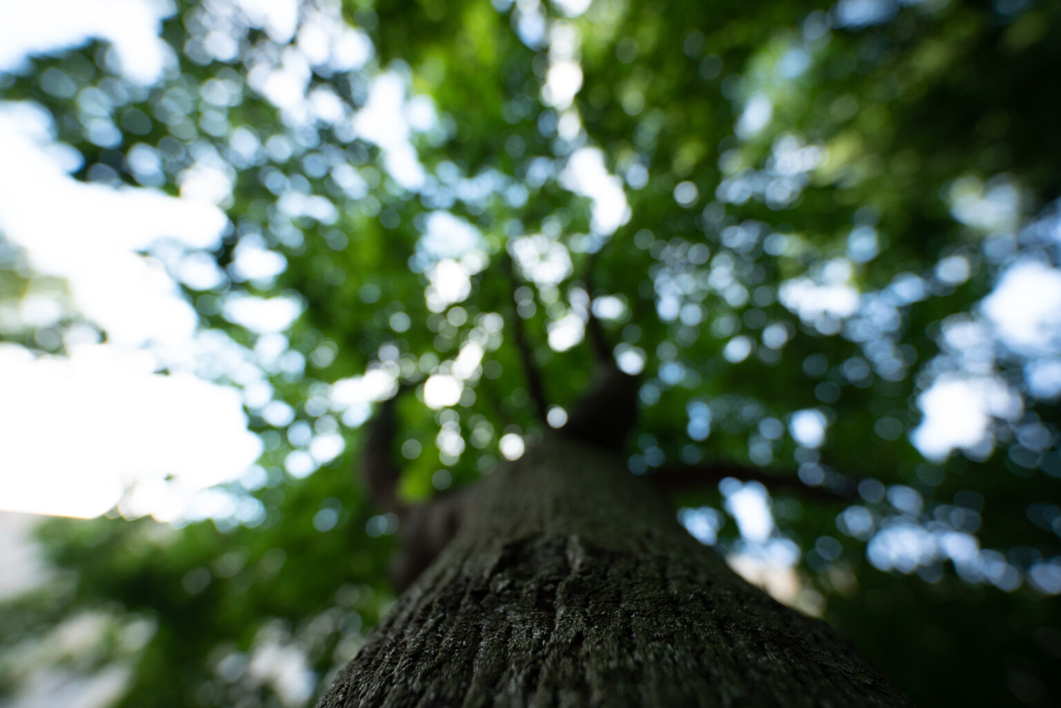 Zobacz zdjęcia przykładowe z obiektywu Sigma 14mm F1.4 DG DN ART w asyście Sony A7R III