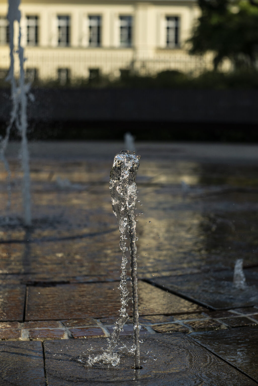 Nikon D800 z obiektywem Carl Zeiss Biotar 75mm F1.5 Bokeh Killerz
