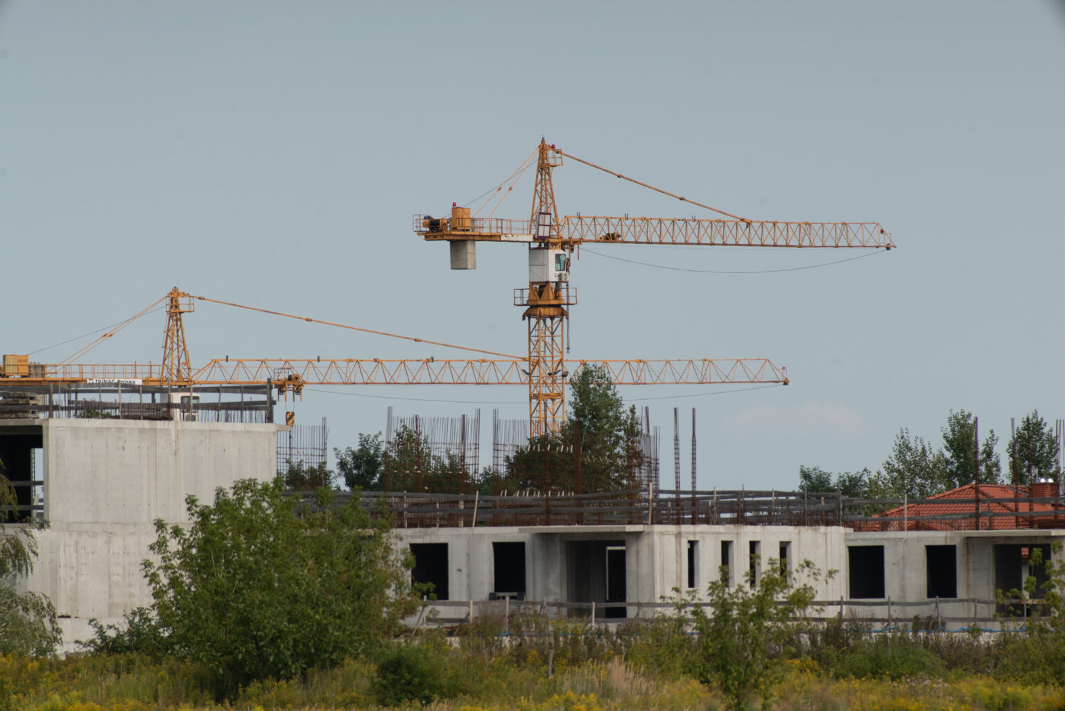 Pierwsze zdjęcia przykładowe na teleobiektywie TTArtisan 500mm F6.3 ED cinema-scene super mc w asyście Sony A7S II i Sony A9 II