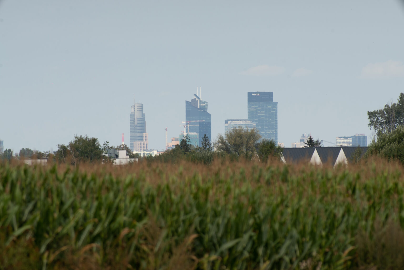 Pierwsze zdjęcia przykładowe na teleobiektywie TTArtisan 500mm F6.3 ED cinema-scene super mc w asyście Sony A7S II i Sony A9 II