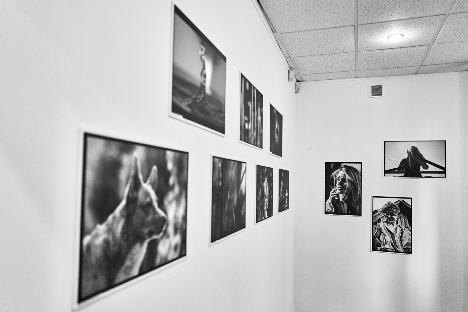 Dni Otwarte - galeria z dnia drugiego