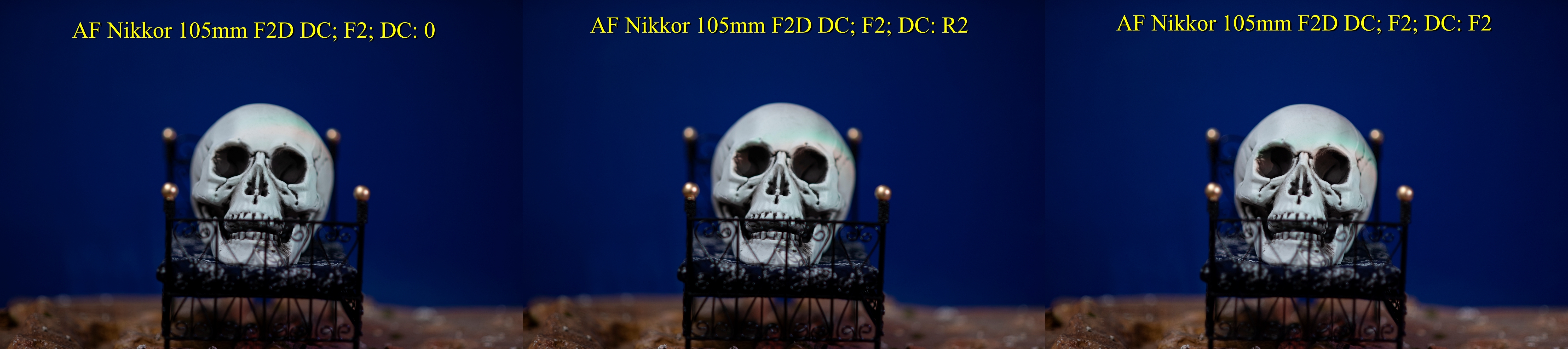 AF Nikkor 105mm F2D DC_C006481 skull