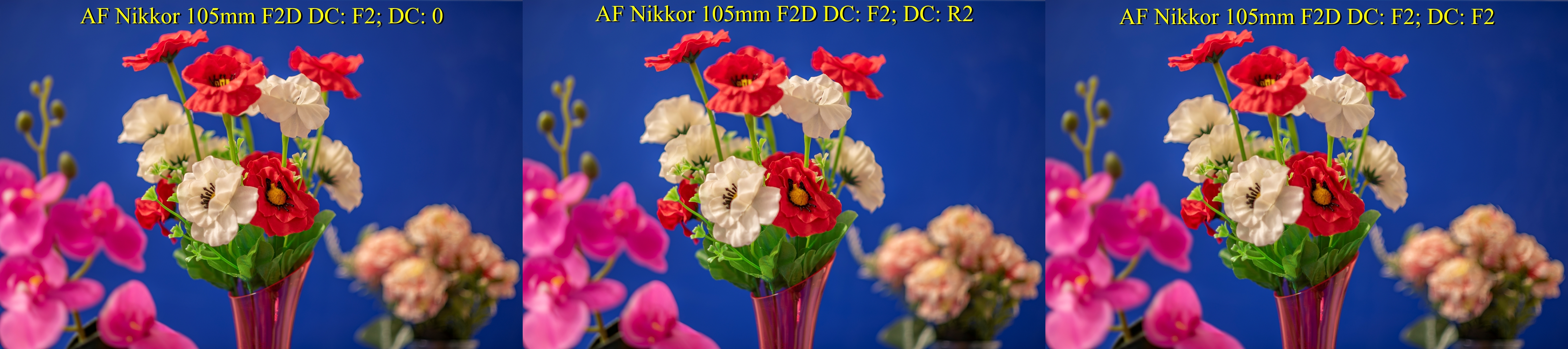 AF Nikkor 105mm F2D DC C006617 F2 DC 0 Side Flowers