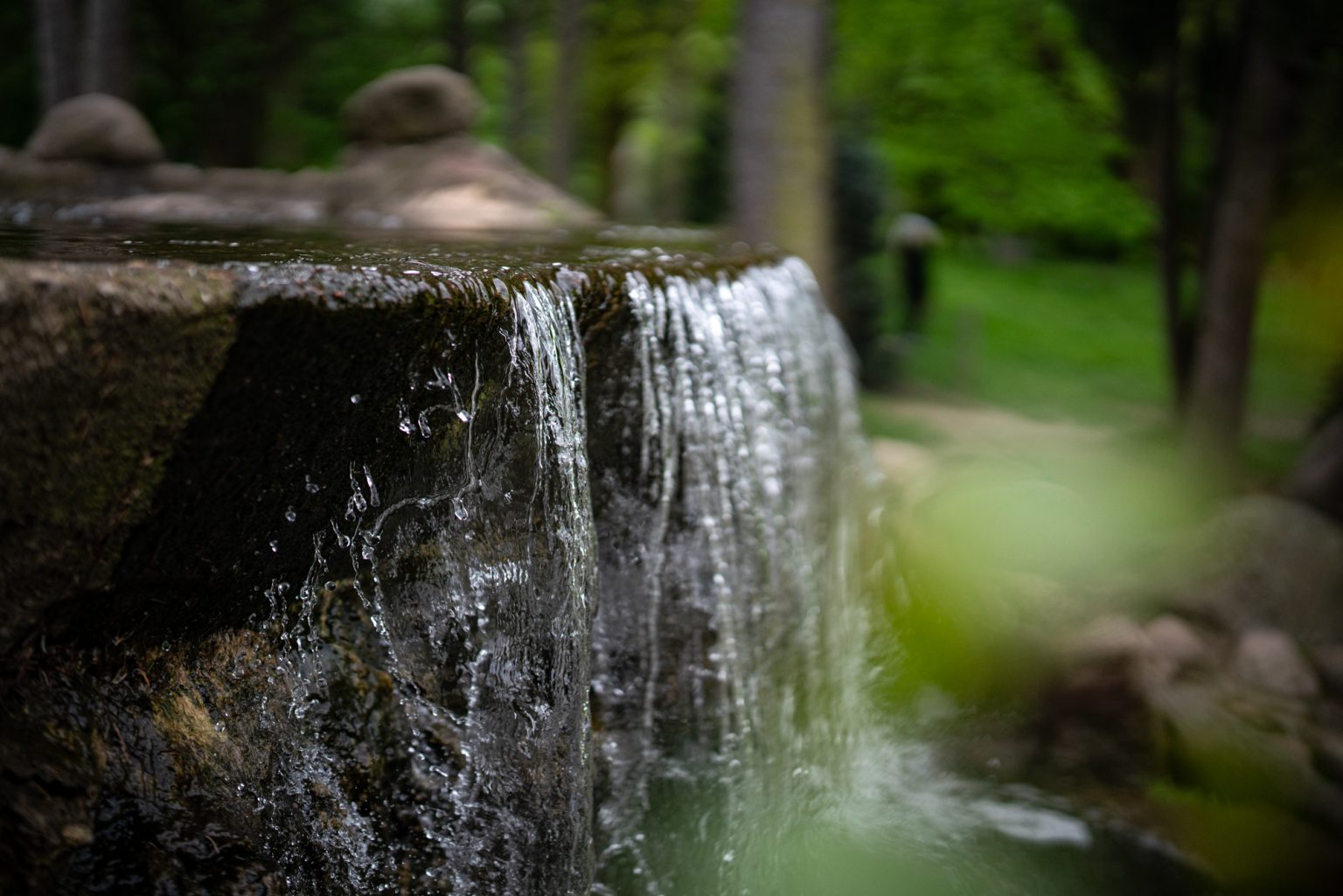 Galeria zdjęć przykładowych 2000px z obiektywu Sigma A 50mm F1.2 DG DN ART oraz aparatu Sony A7R III