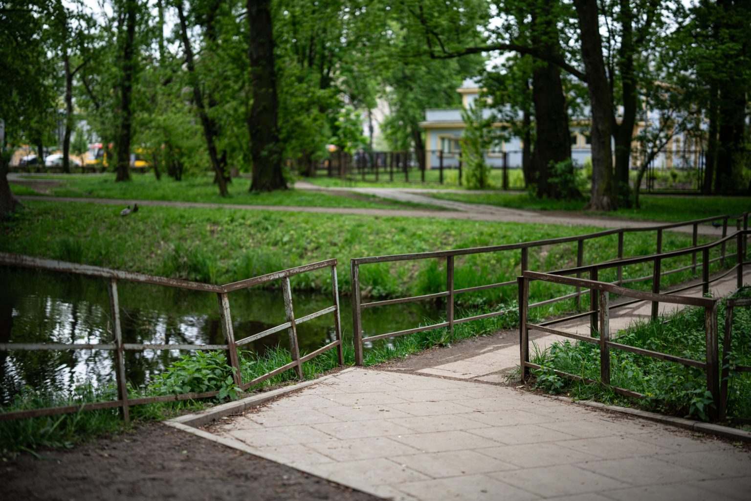 Galeria zdjęć przykładowych 2000px z obiektywu Sigma A 50mm F1.2 DG DN ART oraz aparatu Sony A7R III