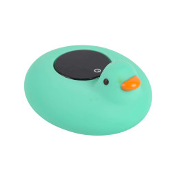 Temperature Duck - Green