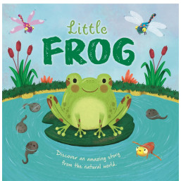 Little Frog (An illustrated story about the life-cycle of a frog) Hardcover Book