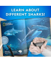 National Geographic - Shark Dig Kit - Excavation Science Kit