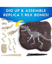 National Geographic - Tyrannosaurus Rex Dig Kit