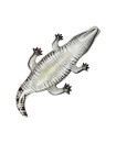 Intex - Realistic Gator Ride-On
