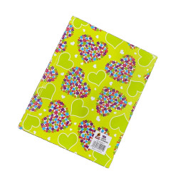 Hard Cover Notebook Single Line 100L - E