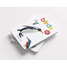 Birds  - Early Learning Board Book With Large Font