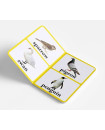 Birds  - Early Learning Board Book With Large Font