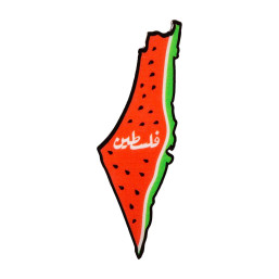 T-Shirt Pin - Palestine Map