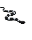 Stretch Snake
