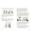 Diary of a Wimpy Kid-The Ugly Truth