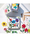 4M - Green Science - Pressed Flower Art