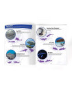 Phidal - World of Sharks Sticker Book 