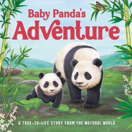 Baby Panda's Adventure Board Book