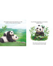 Baby Panda's Adventure Board Book