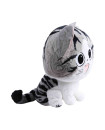 Cheese Cat 40 cm
